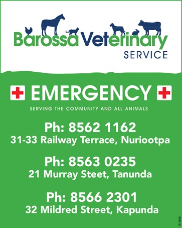 banner image for Barossa Veterinary Service