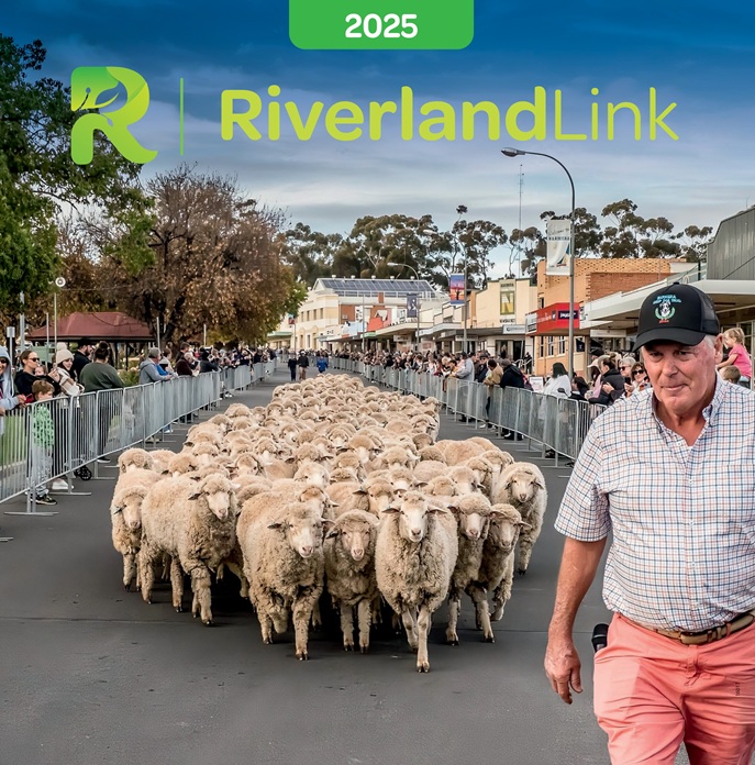 business title image